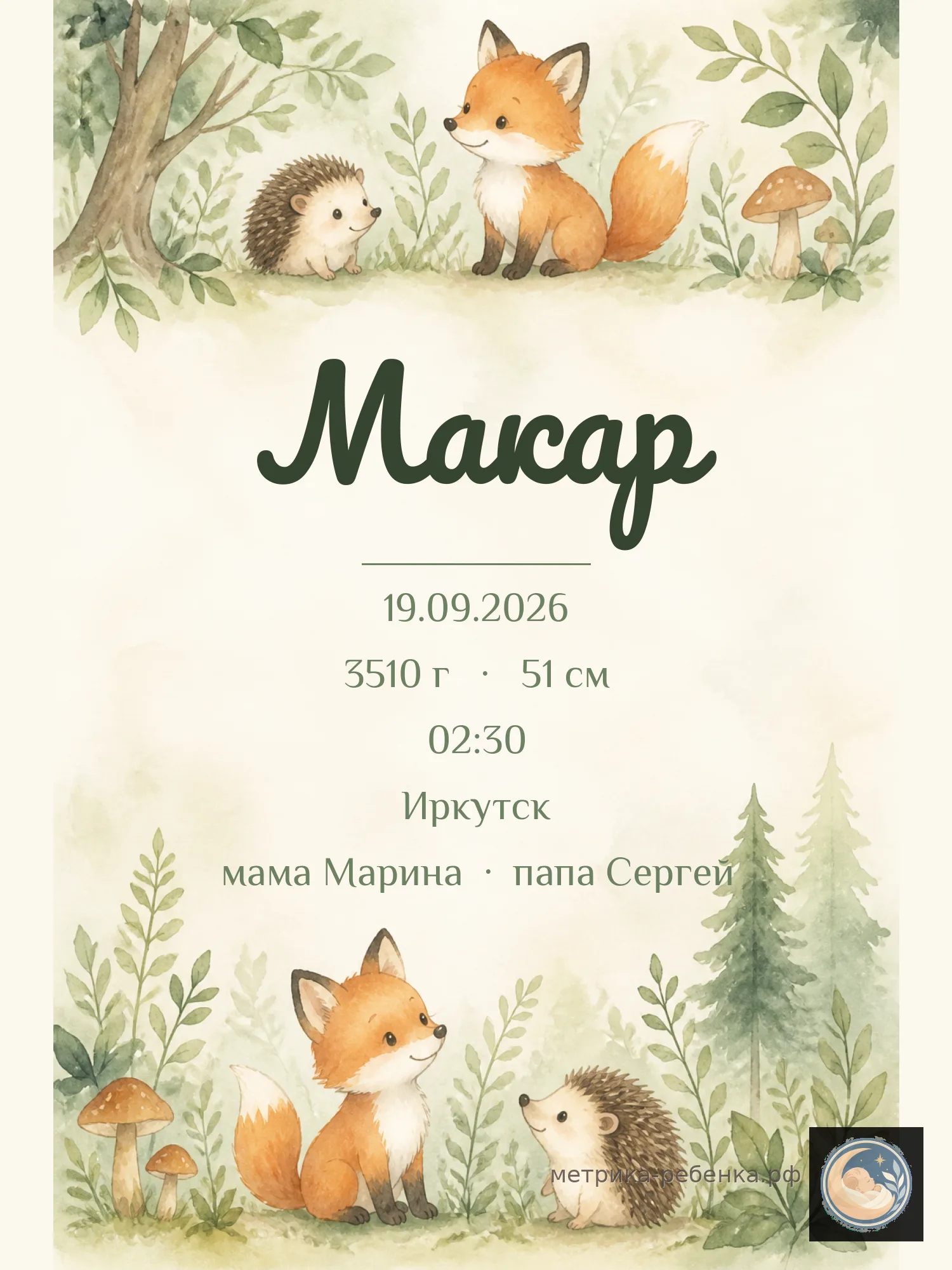 Метрика Макар