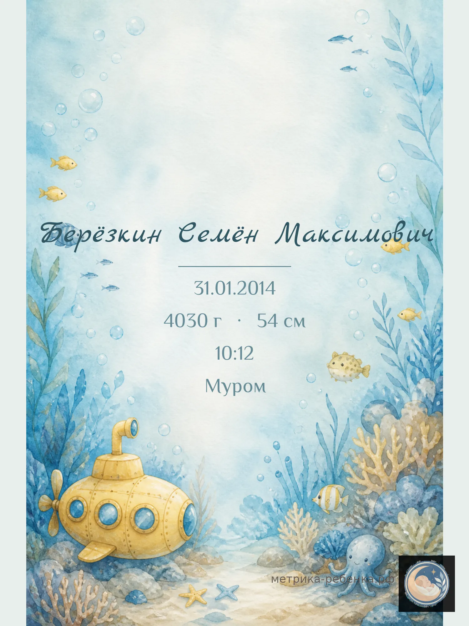 Метрика Берёзкин Семён Максимович