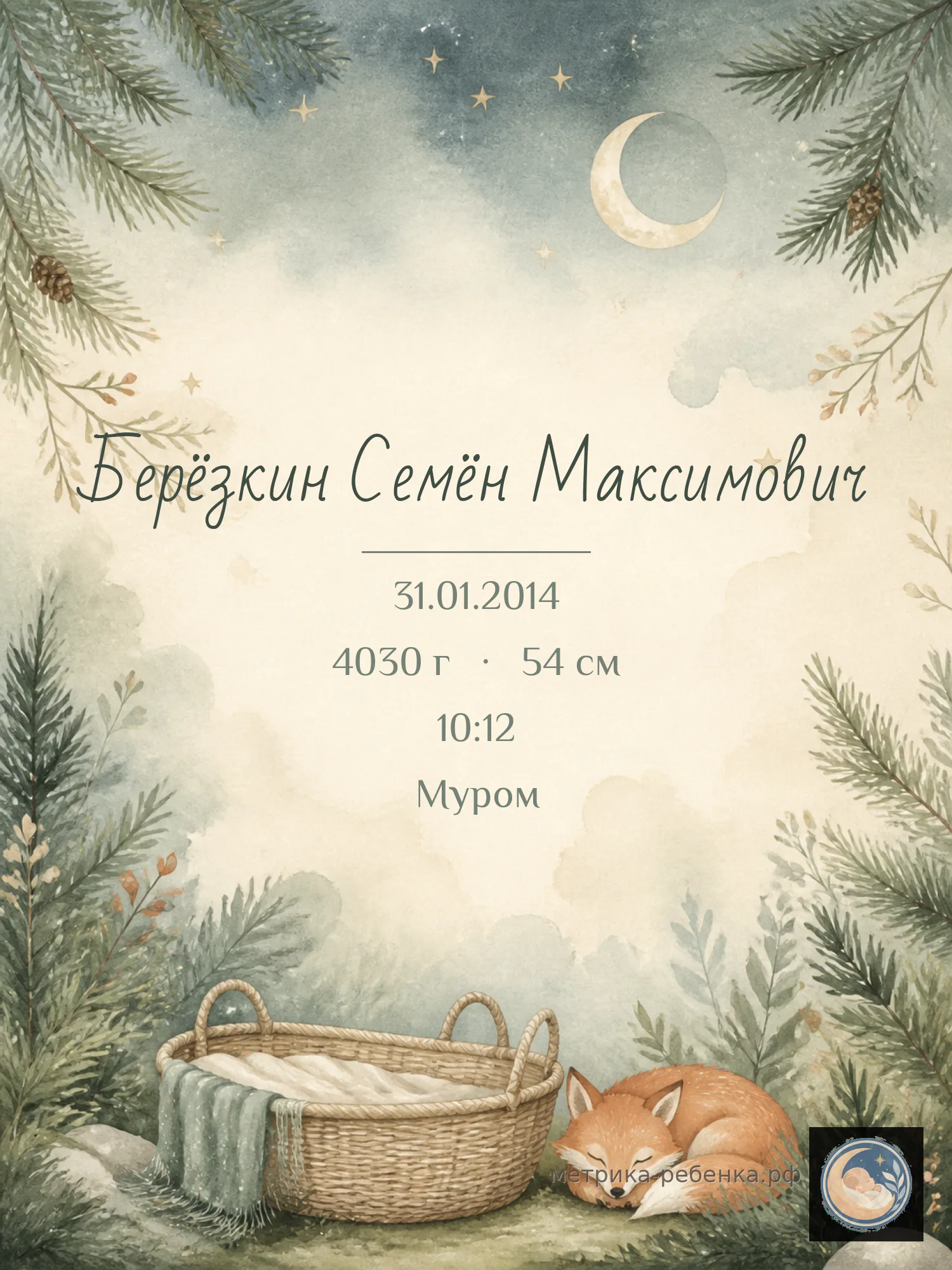Метрика Берёзкин Семён Максимович