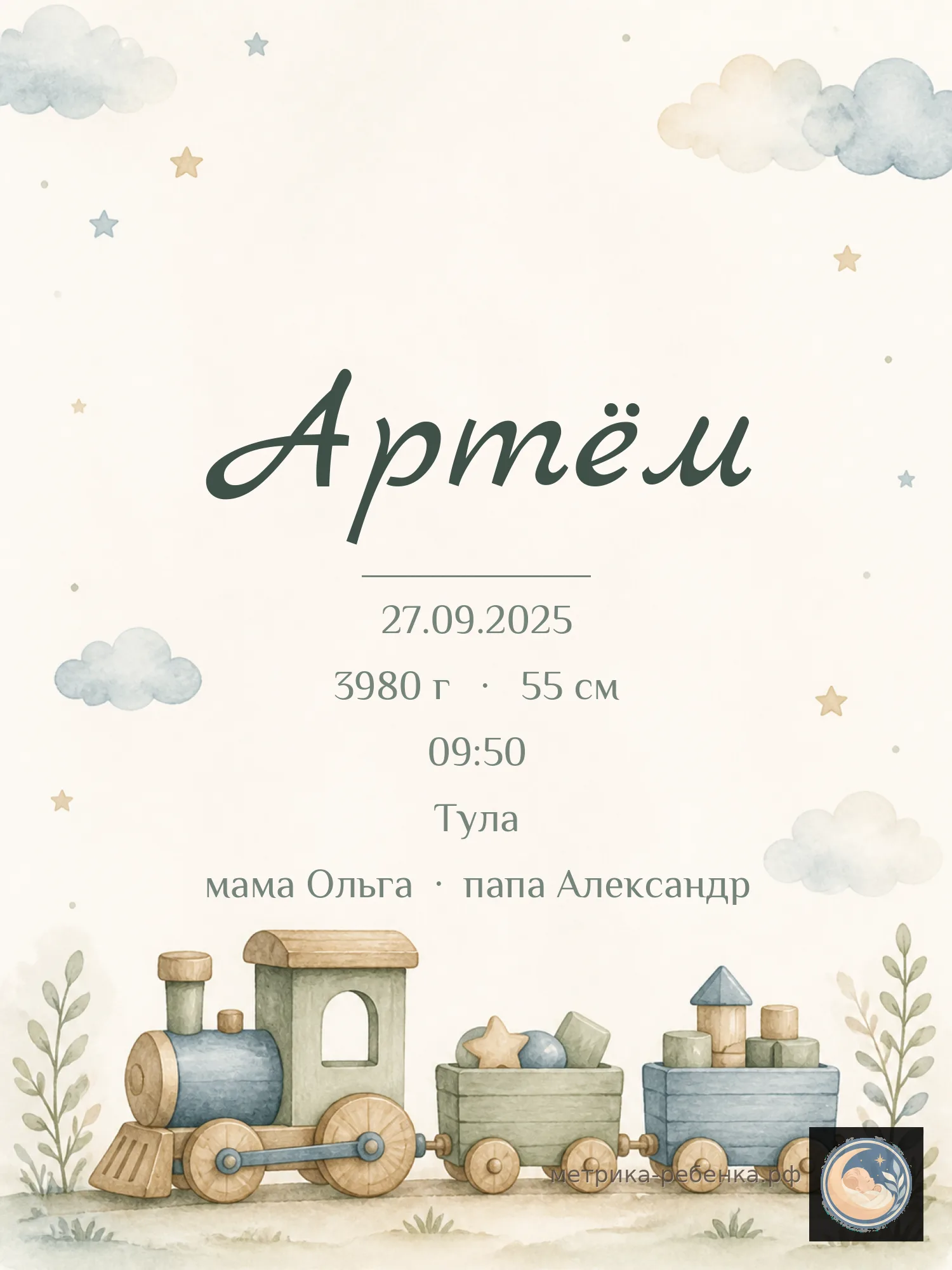 Метрика Артём