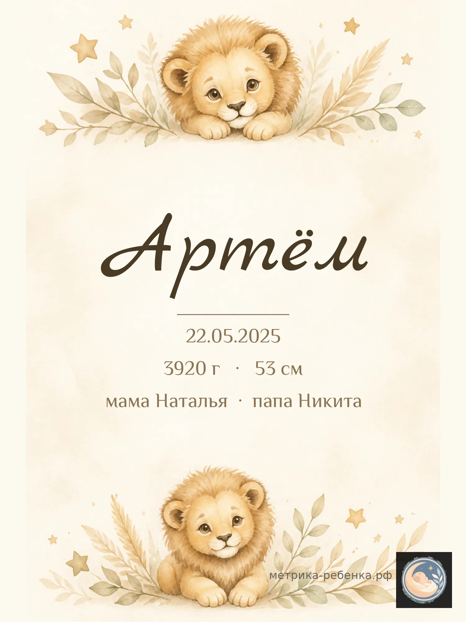 Метрика Артём