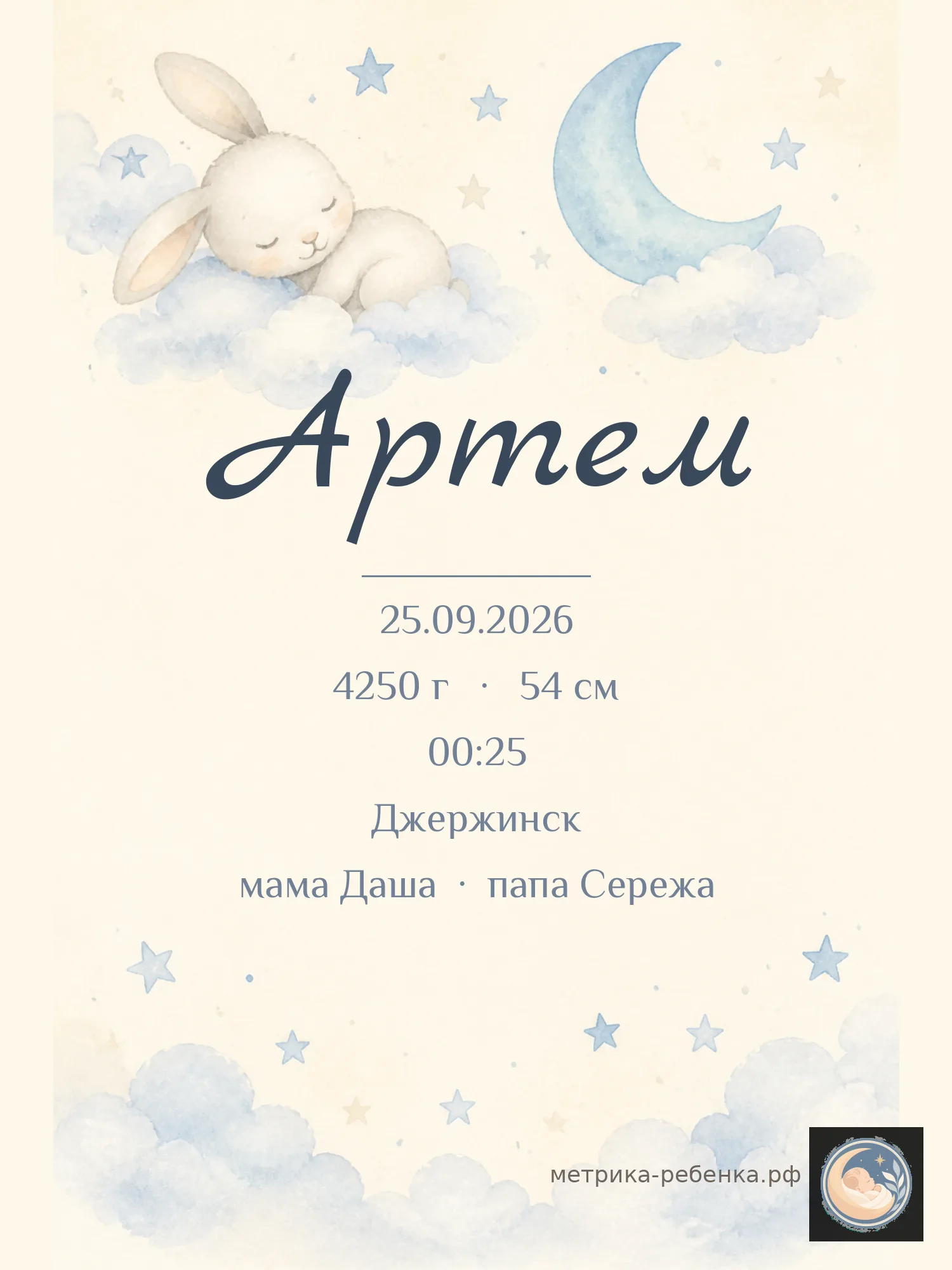 Метрика Артём
