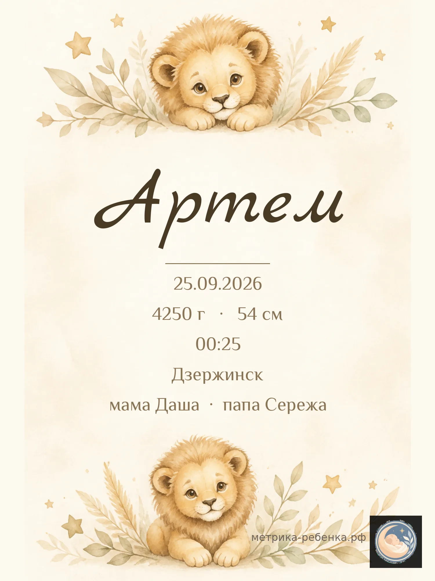 Метрика Артём