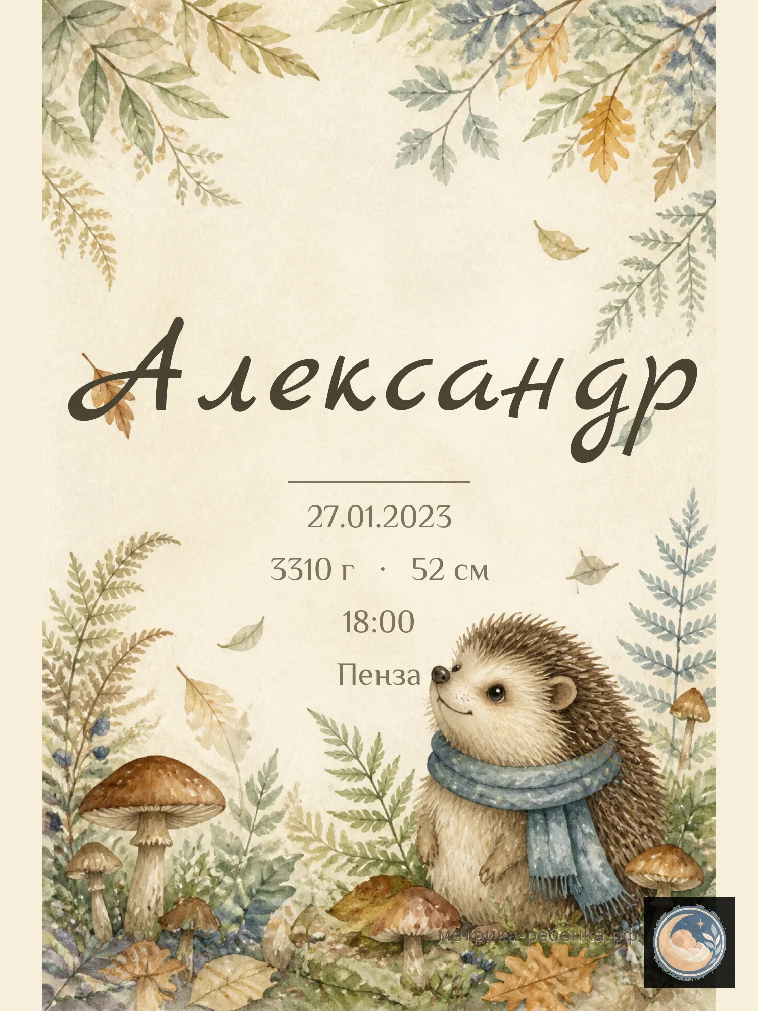 Метрика Александр