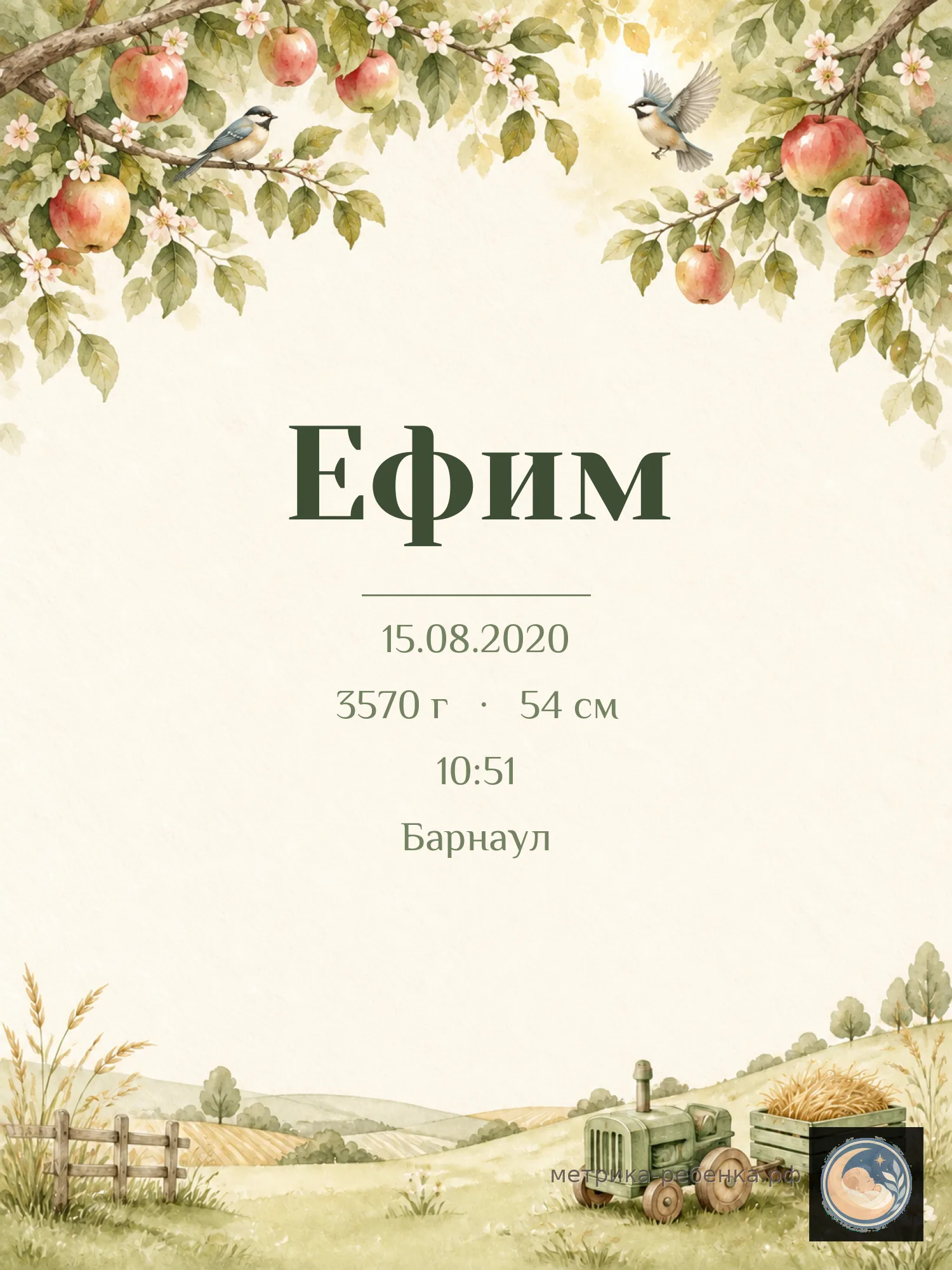 Метрика Ефим