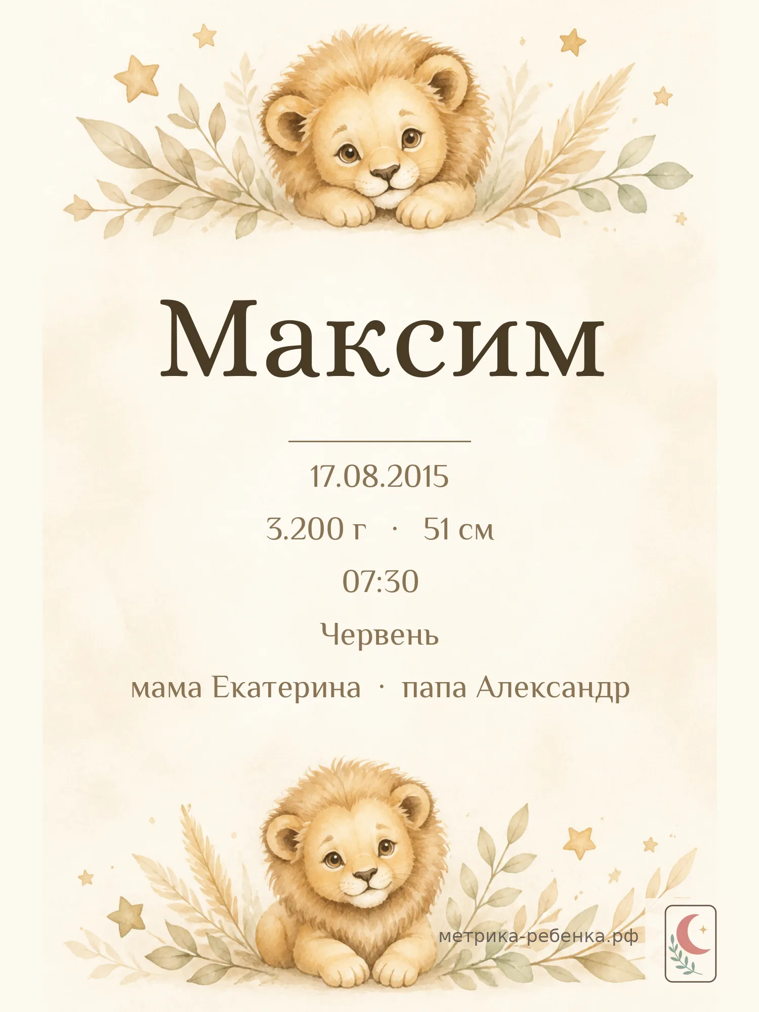 Метрика Максим