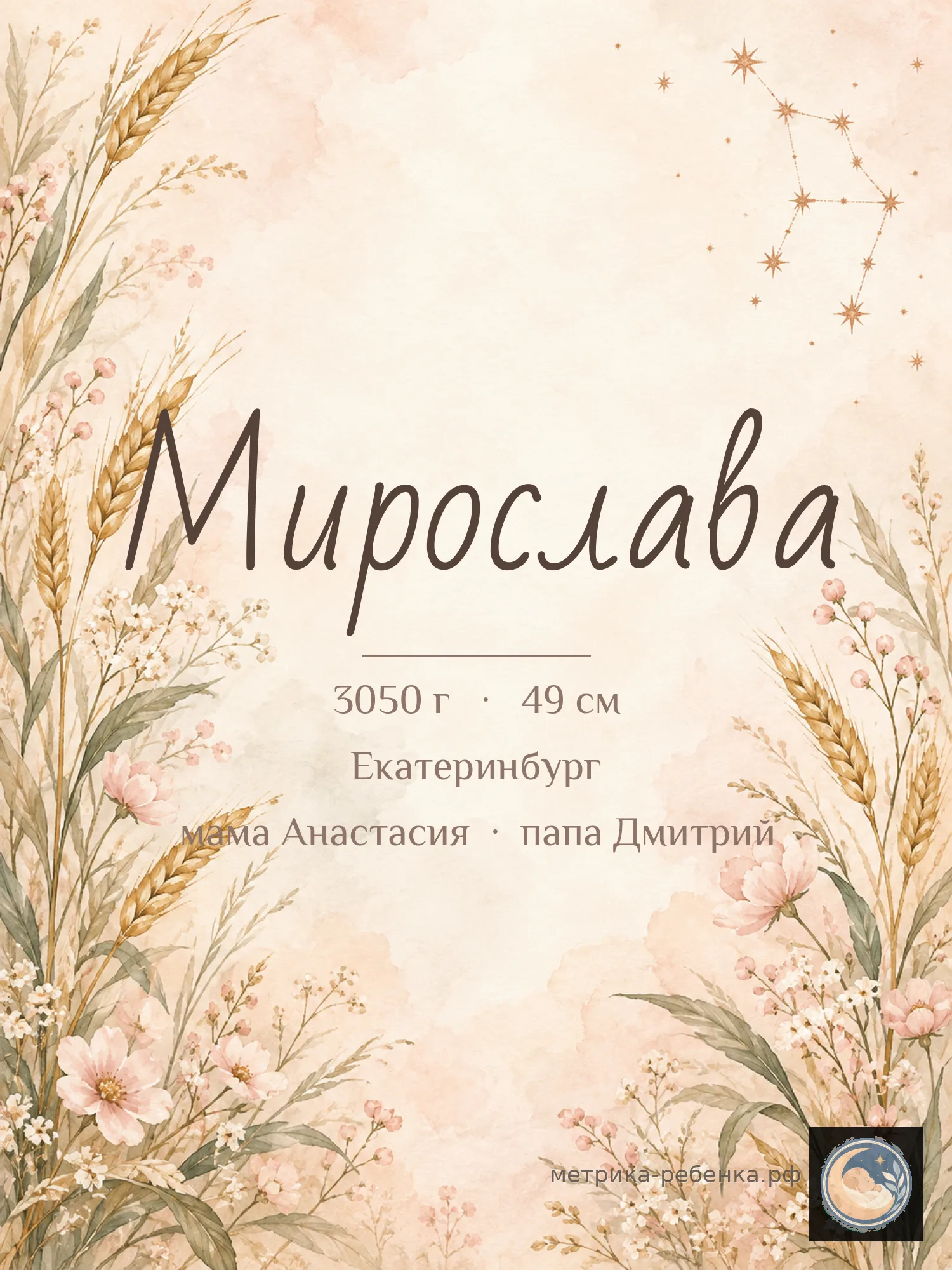 Метрика Мирослава