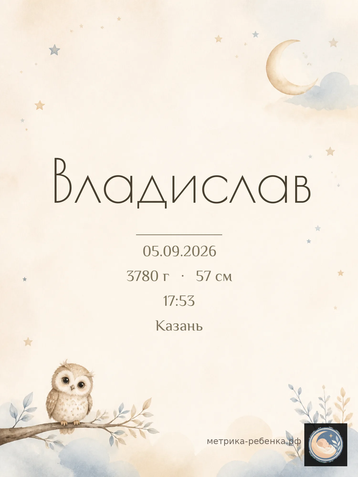 Метрика Владислав