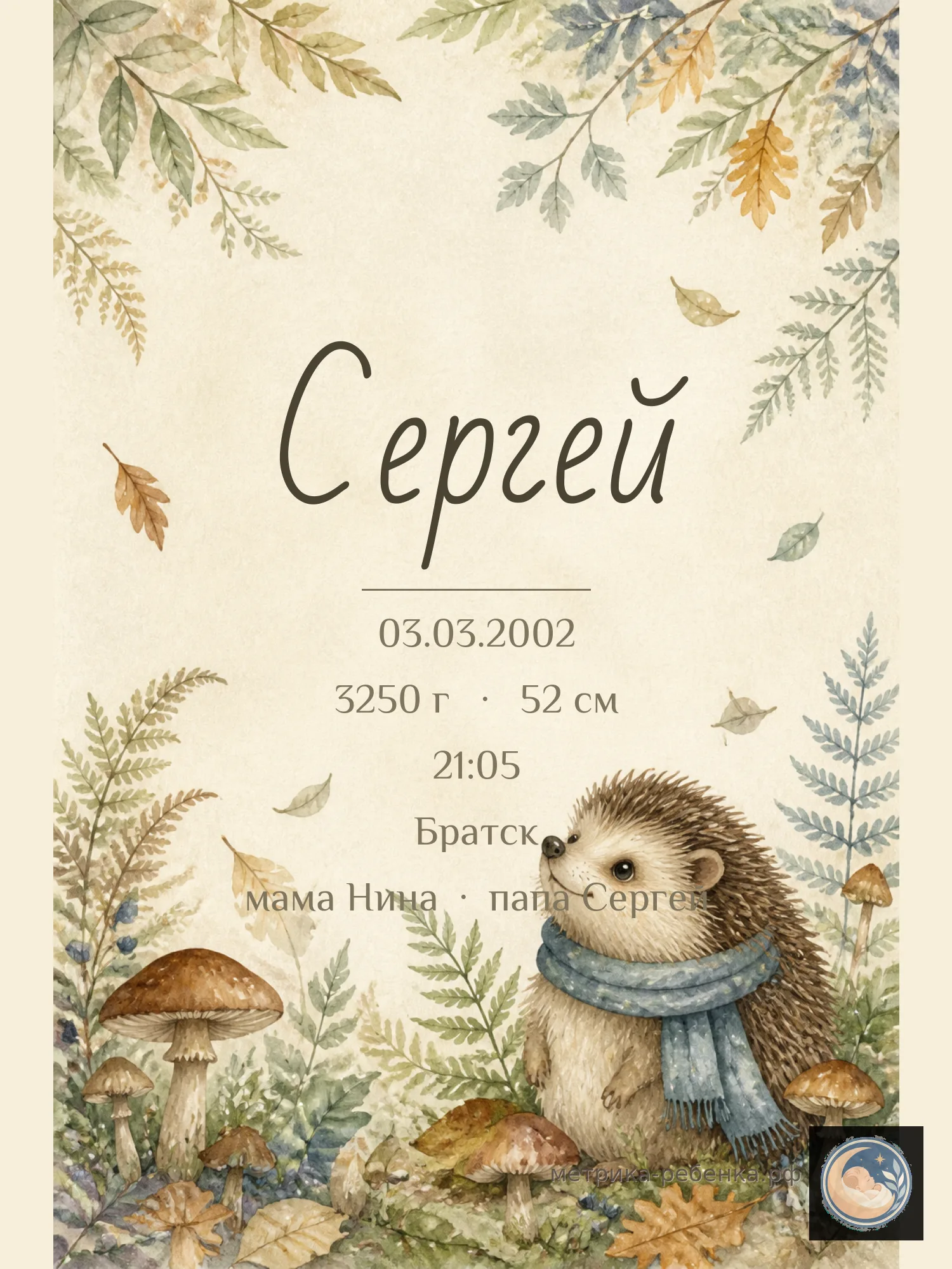 Метрика Сергей