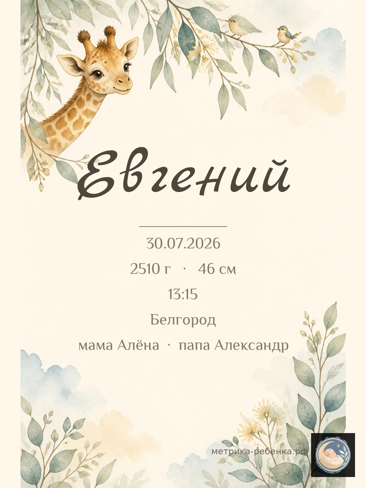 Метрика Евгений