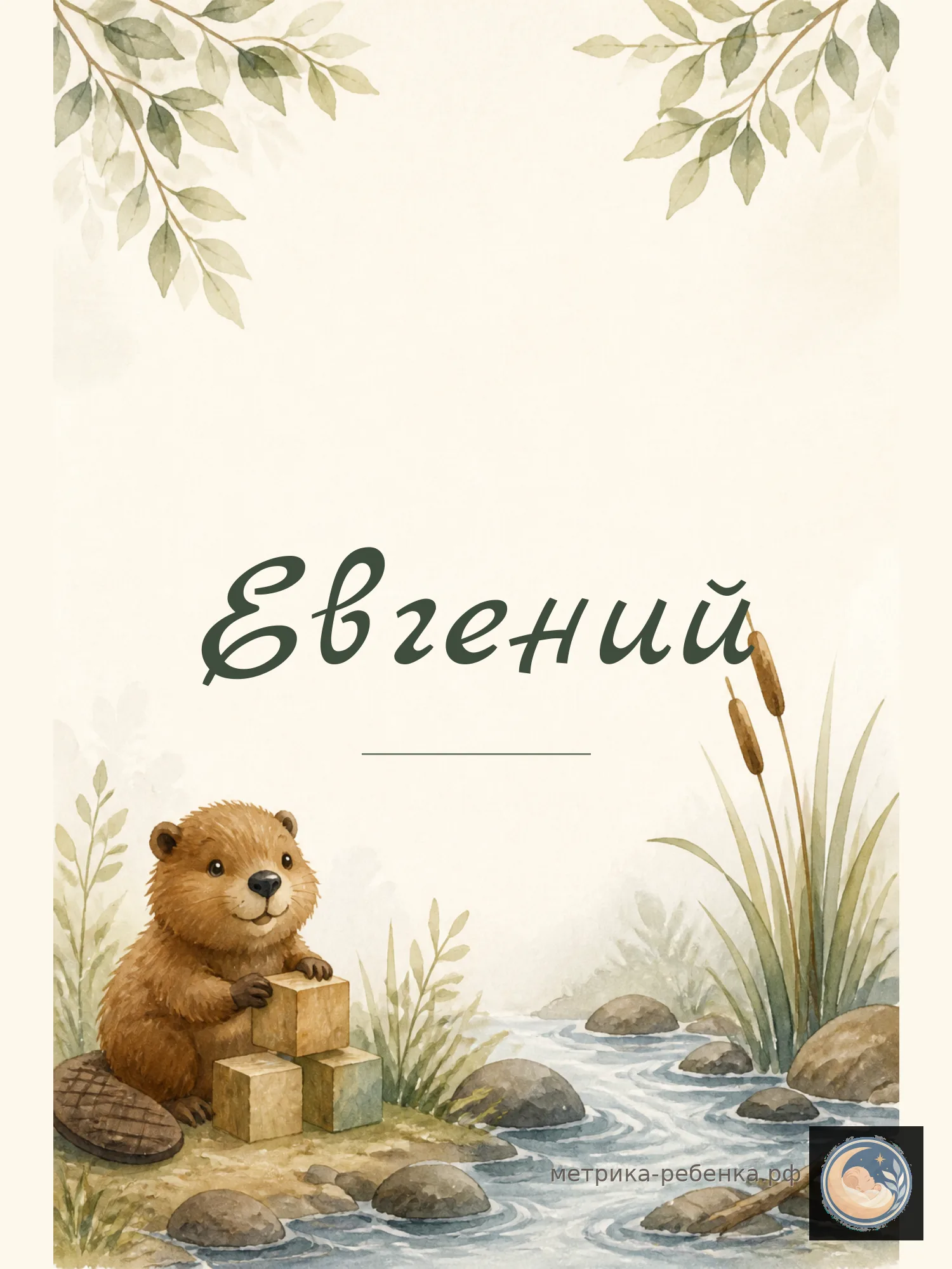 Метрика Евгений